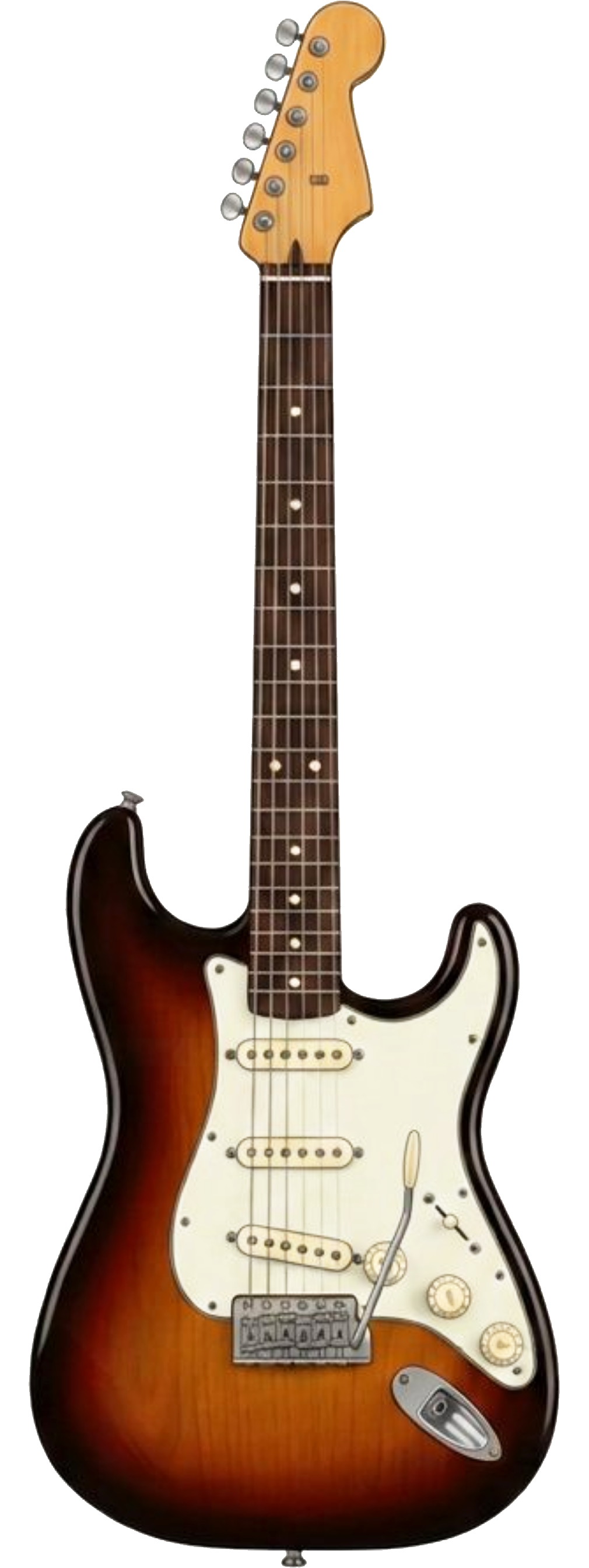 Labelled diagram of an electric guitar